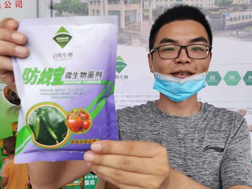 湖北宜都菌種廠 墻外花開香四方，農業種養與肥料生產的新引擎