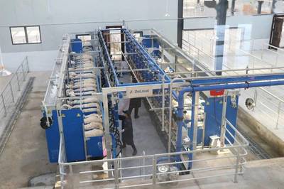 聚力奶綿羊發(fā)展，培育“乳肉”兼用新品種，助力肥料生產(chǎn)新篇章